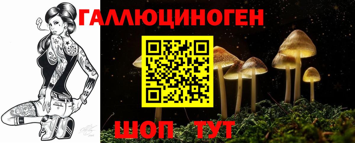 Галлюциногенные грибы Magic Shrooms Гусиноозёрск