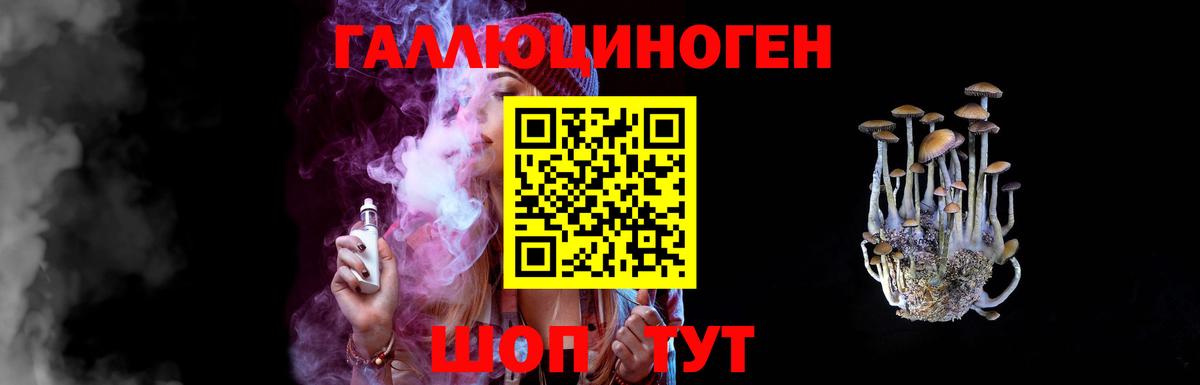 Гусиноозёрск  продажа наркотиков  Вход с VPN  Псилоцибиновые грибы мухоморы 